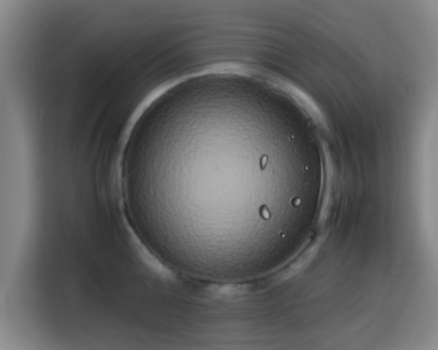 X0000113930808200910021241