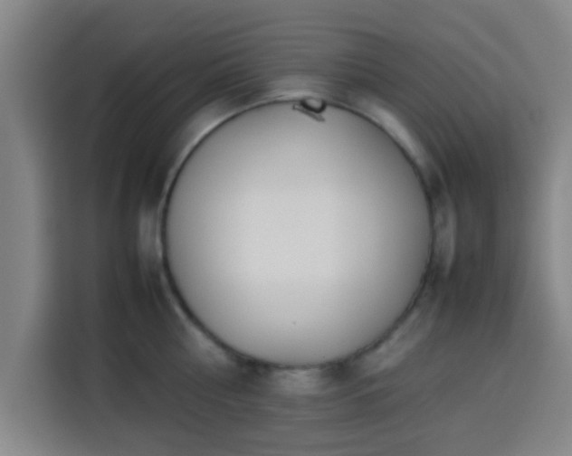 X0000113930810200910021241
