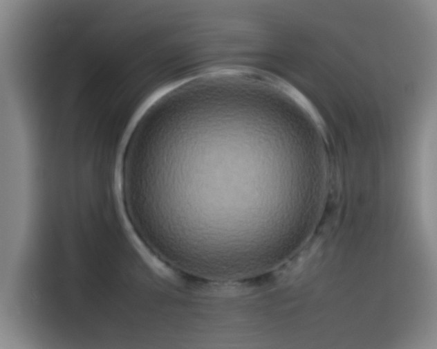 X0000113930811200910021241