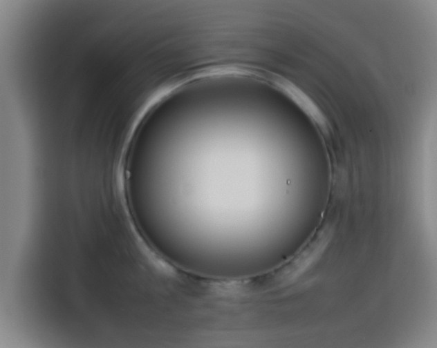X0000113930813200910021241