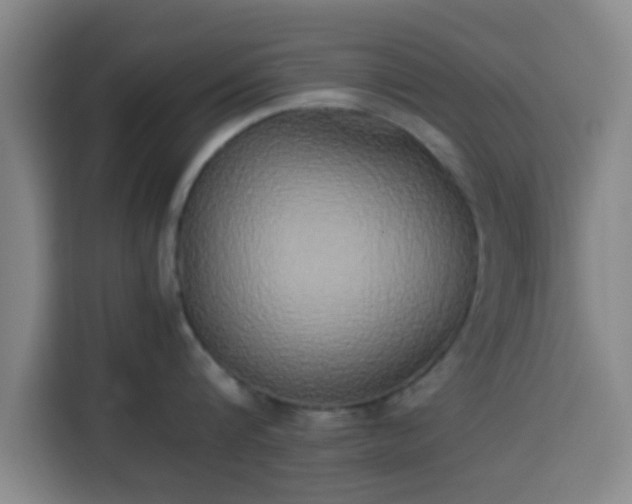 X0000113930816200910021241