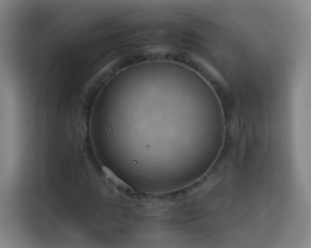 X0000113930821200910021240