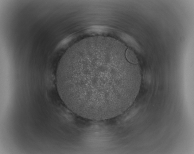 X0000113930822200910021240
