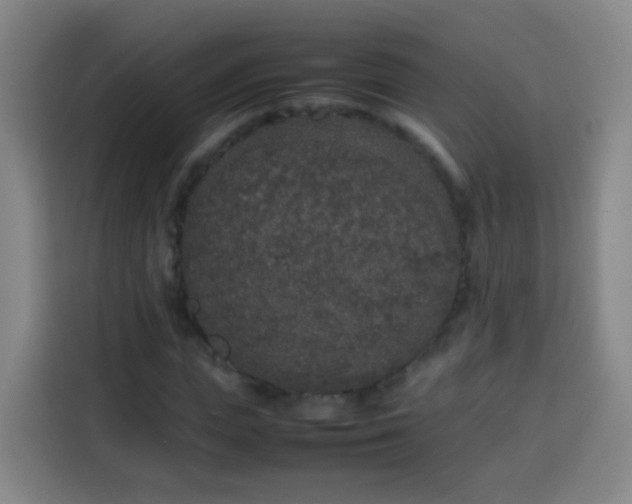 X0000113930823200910021240