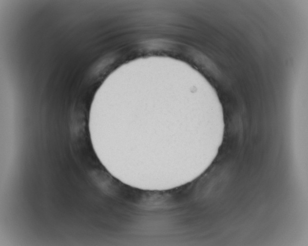 X0000113930824200910021240