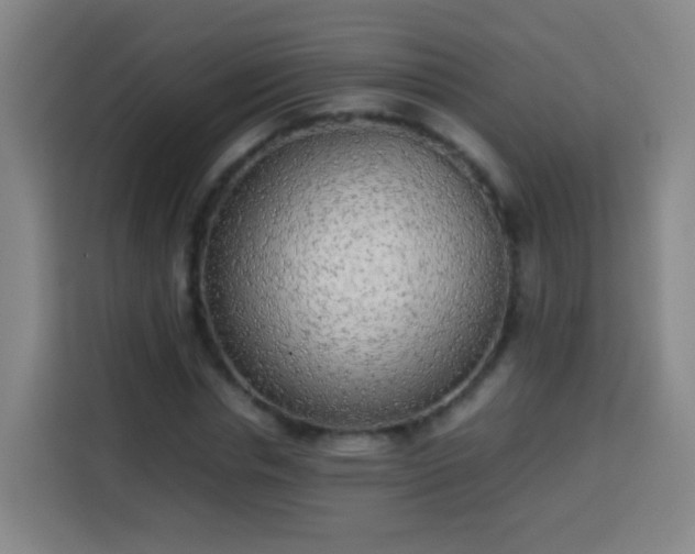 X0000113930826200910021240