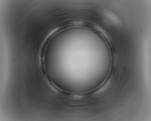 X0000113930827200910021240