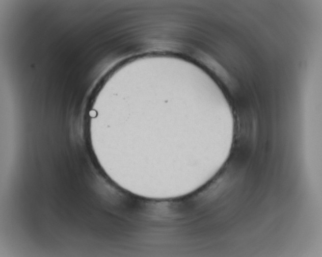 X0000113930828200910021240