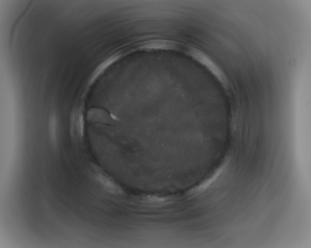 X0000113930829200910021240