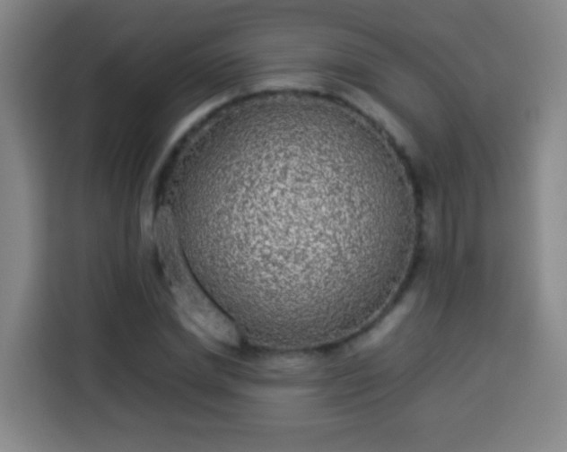 X0000113930830200910021240