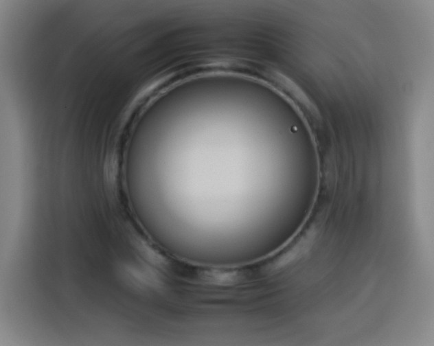 X0000113930831200910021240