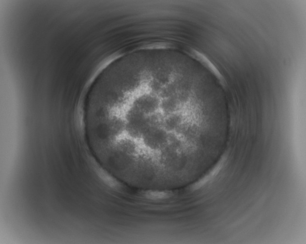 X0000113930835200910021240