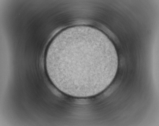 X0000113930836200910021240