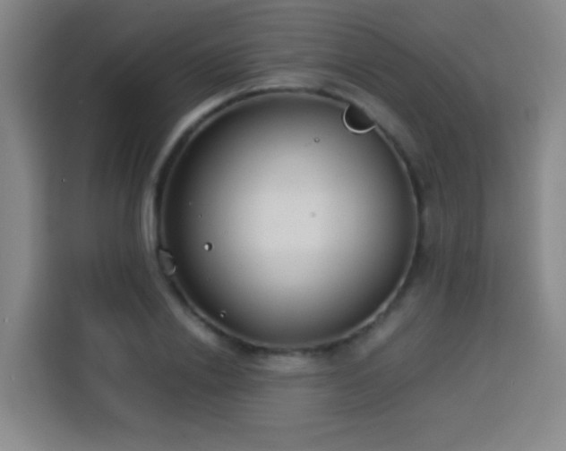 X0000113930838200910021241