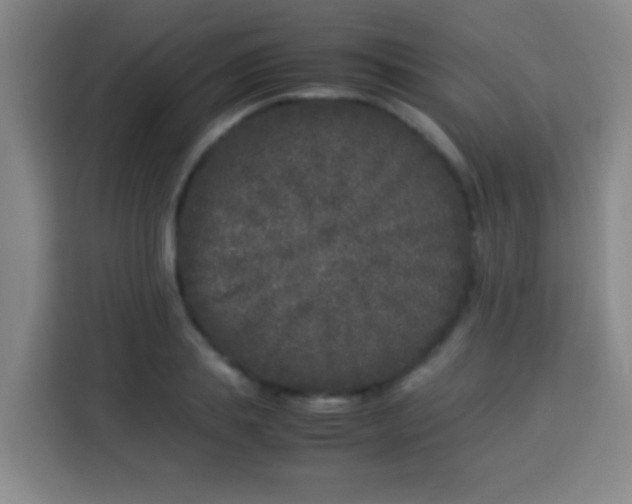 X0000113930839200910021241