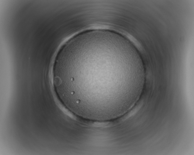 X0000113930840200910021241