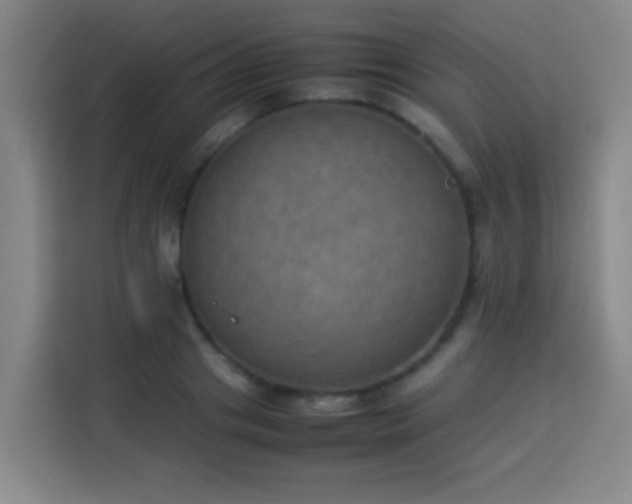 X0000113930841200910021241