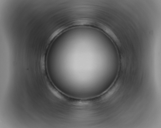 X0000113930842200910021241