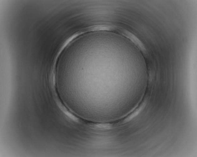X0000113930844200910021241
