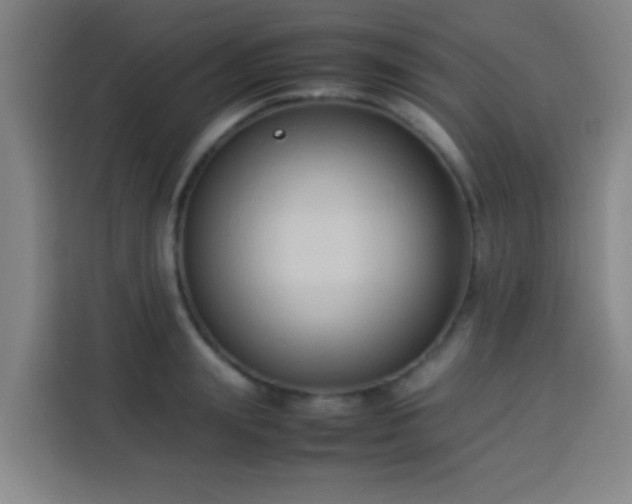 X0000113930847200910021241