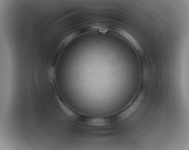 X0000113930849200910021241