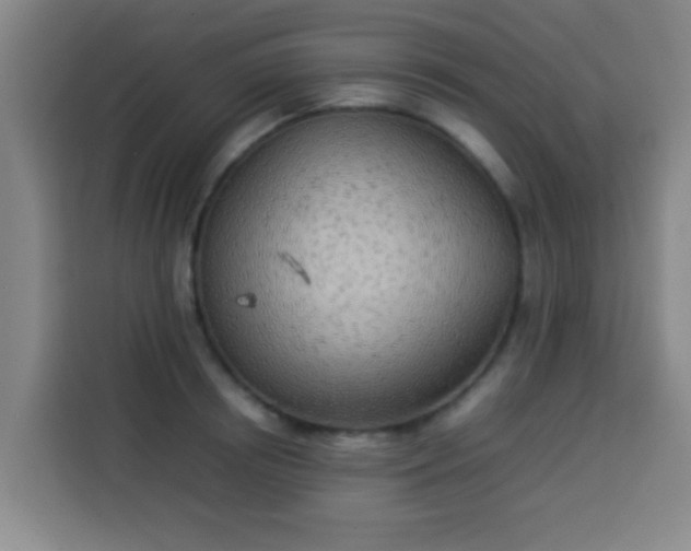 X0000113930850200910021241