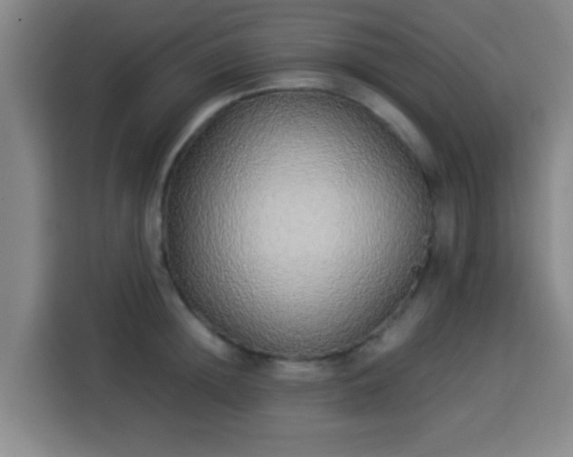 X0000113930852200910021241