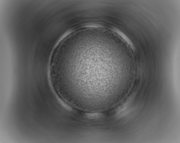 X0000113930853200910021241