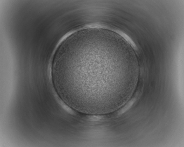 X0000113930854200910021241