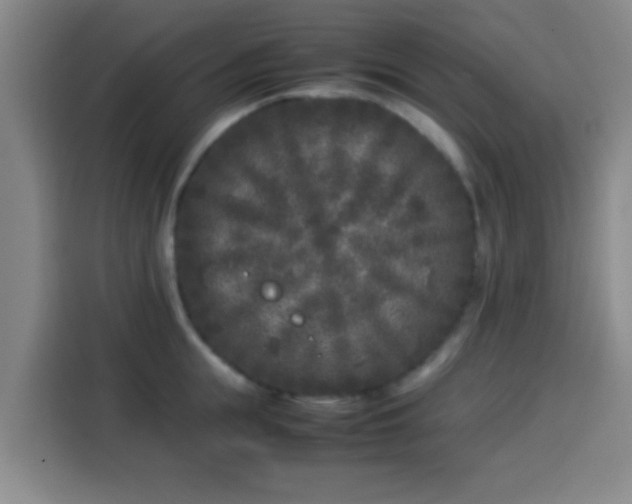X0000113930855200910021241