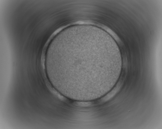 X0000113930856200910021241