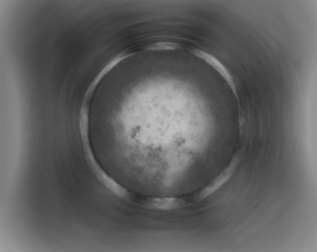 X0000113930859200910021241