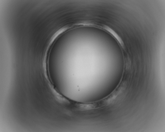 X0000113930861200910021241