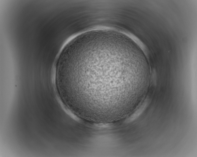 X0000113930862200910021241