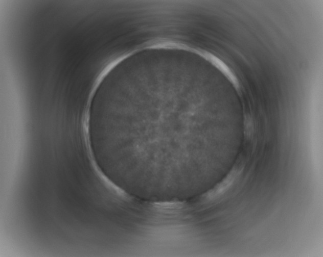X0000113930863200910021241