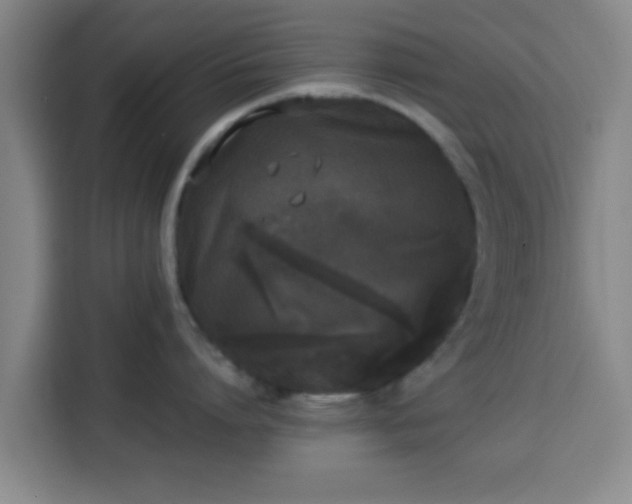X0000113930864200910021241