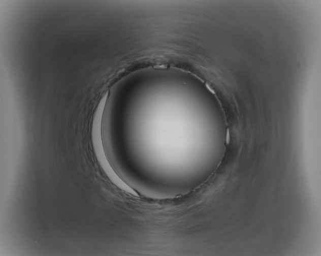 X0000113930865200910021240