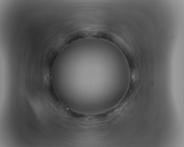 X0000113930867200910021240