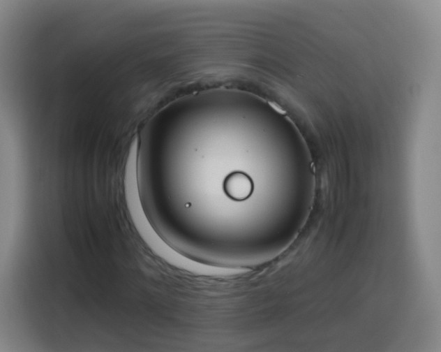 X0000113930868200910021240