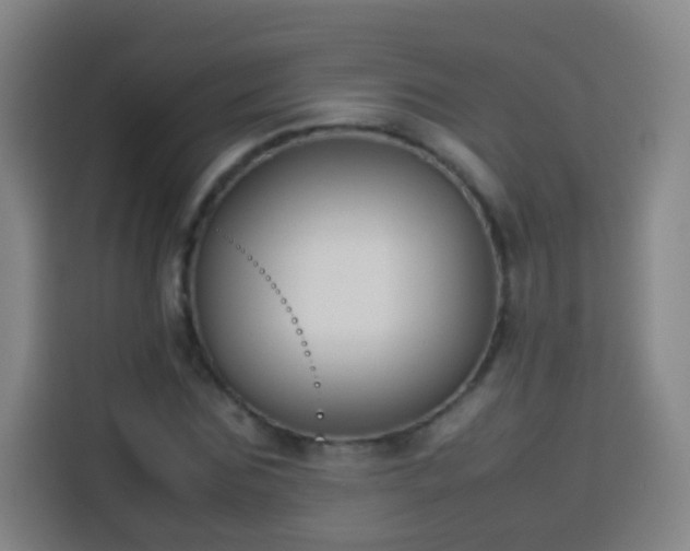 X0000113930875200910021240