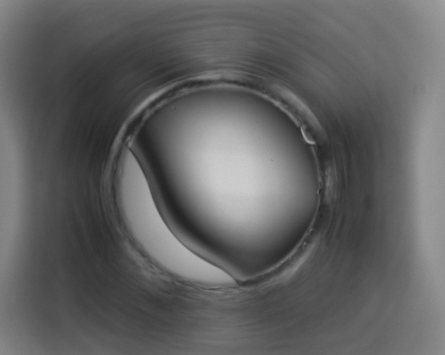 X0000113930876200910021240