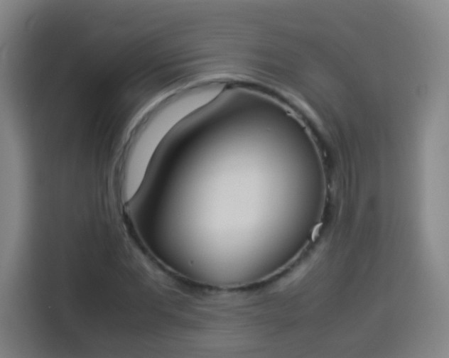X0000113930877200910021240