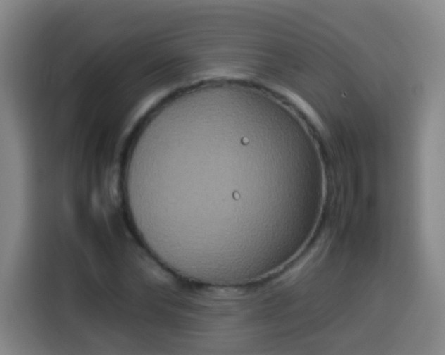 X0000113930878200910021240