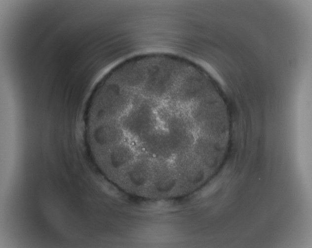 X0000113930879200910021240