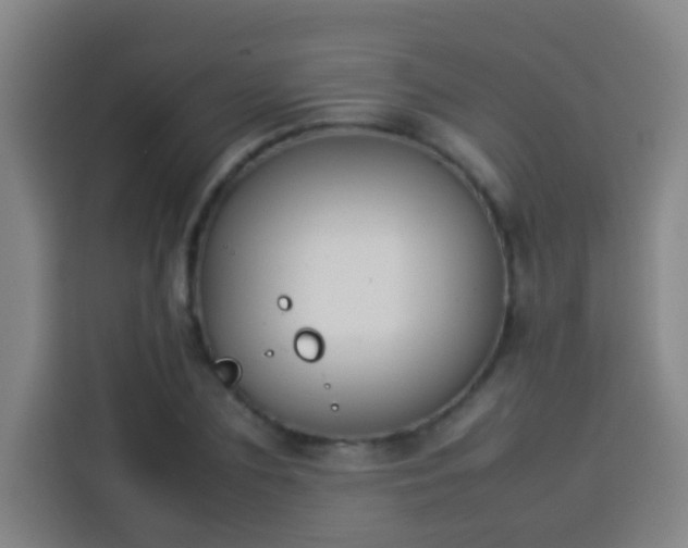 X0000113930883200910021240