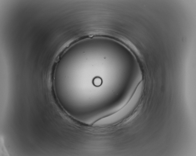 X0000113930885200910021240