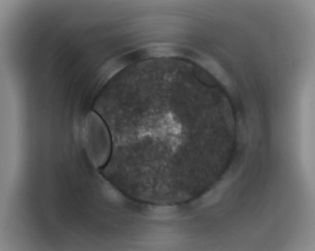 X0000113930889200910021240