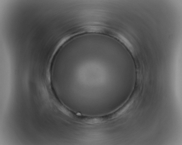 X0000113930891200910021240