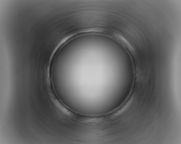 X0000113930892200910021240