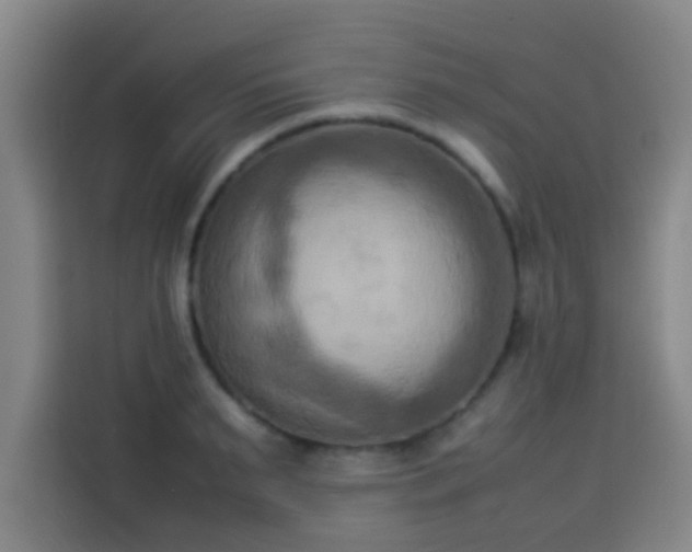 X0000113930895200910021240